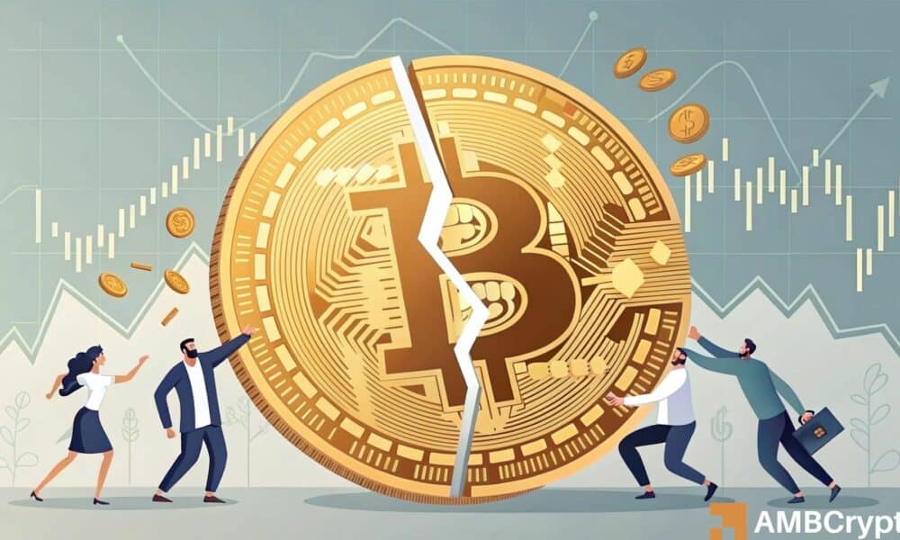 Analysis of Bitcoin Price Forecast after Halving in 2028