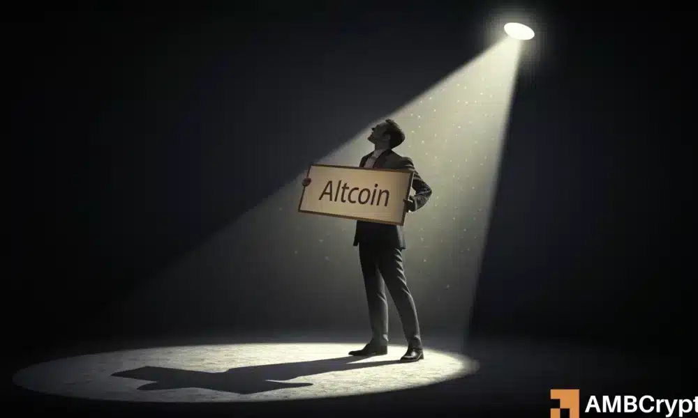山寨币周期尚未结束，FOMO还在路上！这意味着什么？