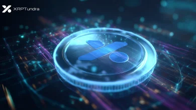 XRP Coinmarketcap 数据分析显示 Tundra 代币模型市场强劲化